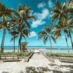 Beautiful Waikiki Beach with palm trees and a lifeguard tower under clear blue skies.