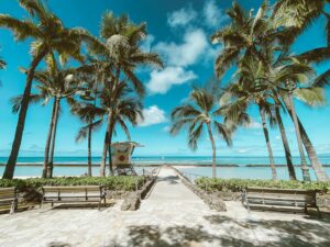 Beautiful Waikiki Beach with palm trees and a lifeguard tower under clear blue skies.